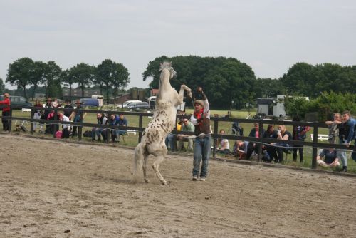 This is picture 1